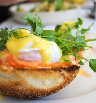 Brunch Roskilde: En Hemmelighed Afsløret for Eventyrrejsende og Backpackere